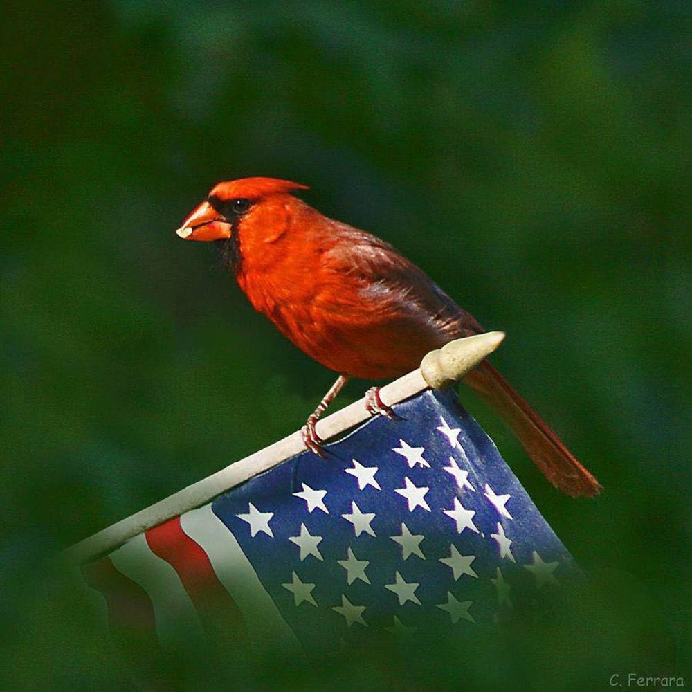 Meet your Posher, Briana